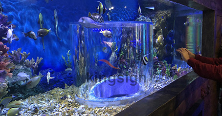 Wuxi Ocean жер асты аквариумының жобасы.
