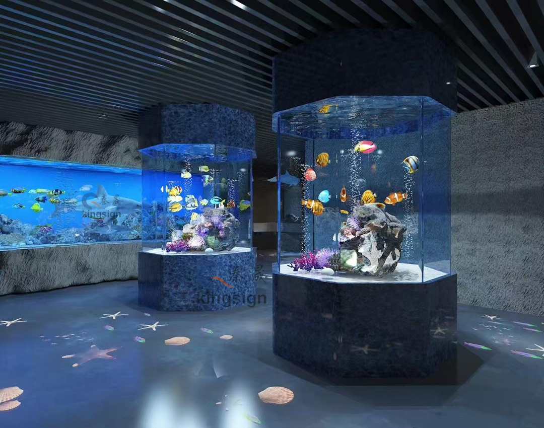 Aquarium әлемінің жарқын маржаны - ACRYSHERGERGE ACRY балық резервуары